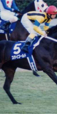 Stay Gold, Japanese Thoroughbred racehorse., dies at age 20